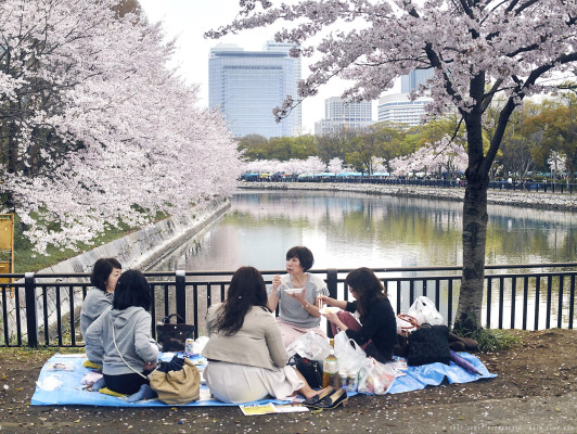 <a href="https://hair-flap.com/2017/05/02/grey-hanami-at-osaka-castle-2017/">Click to view the post this photo originally appeared in.</a>